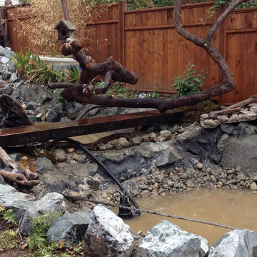 Zen Water project - ongoing