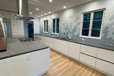 Berkeley Contemporary Cabinetry Kitchen Transformation