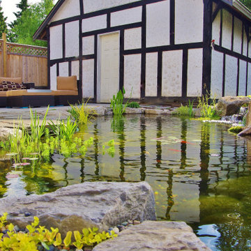 Ecosystem Ponds