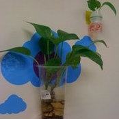 Chi Greenhouse's photo