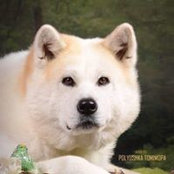 Ирина Баландина's photo