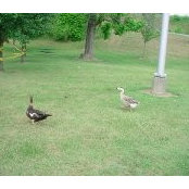 Ronald Fry's photo