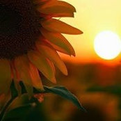 Pamela Burch's photo