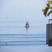 Gianluca Dantino's photo