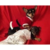 Lynne Bourassa's photo