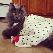 Denise Morrow's photo