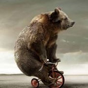 Behrouz Bayat's photo