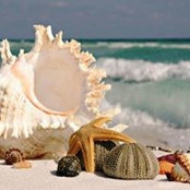 Joy Pittman Smith's photo