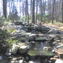 pond