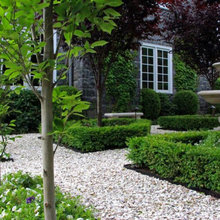 vegetable garden