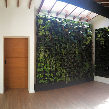 The Movement house