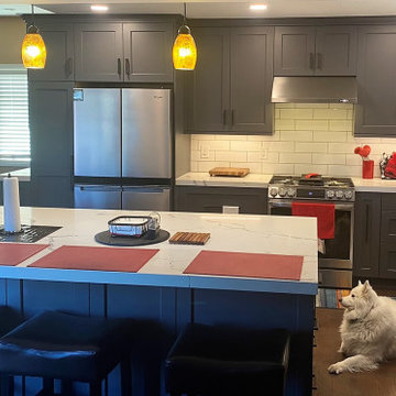 Powderful & Bold! Wrought Iron Kitchen Cabinet