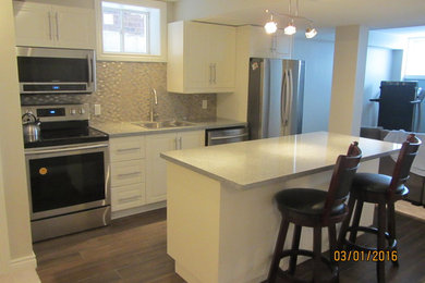 Inspiration for a modern home design remodel in Toronto