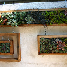 dbhouzz's Ideas