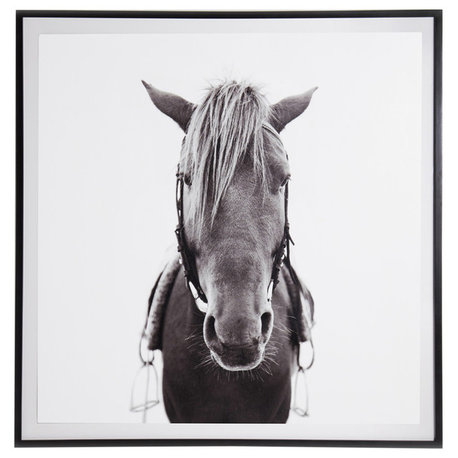 Horse-Photo,black Mpl 48"x48"