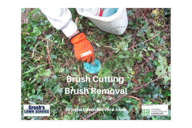 Brush Cutting / Brush Removal