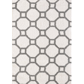 Silky Shag 5903-119 Area Rug, White And Silver, 2'x3'3"