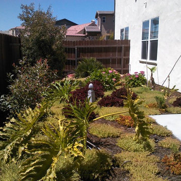 Trevino Residence