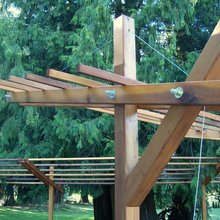 Arbor / Trellis