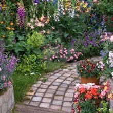 front garden