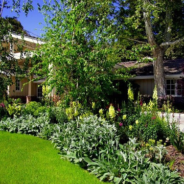 Hidden Hills