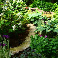 landscape plants