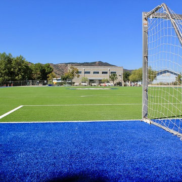 Custom Sport fields