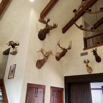 Hanging Deer Mounts and More