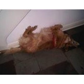 Margaret Updegraff's photo