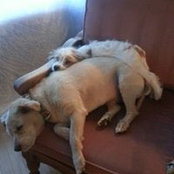 Angie Klimek's photo