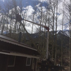 all west of colorado tree services