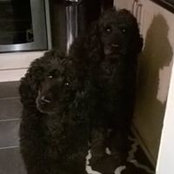 Kim Talbot's photo
