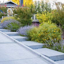Backyard Landscape Hardscape