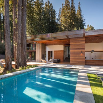 Redwood Grove