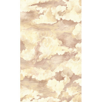 Cloud Filled Sky Plain Printed Textured Wallpaper  57 Sq. Ft., Coral, Sample