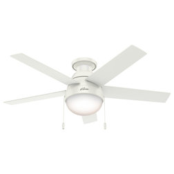 Transitional Ceiling Fans by Lighting New York