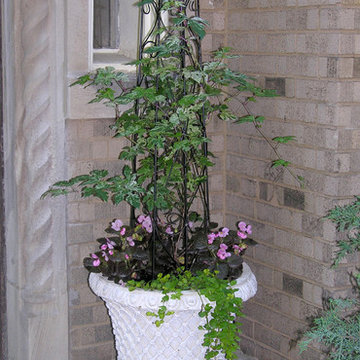 Shade garden | Artistry Landscaping Design