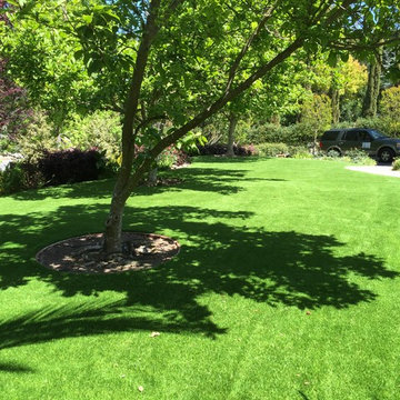 Artificial Turf Front Yard Lawn and Paver Entry Walkway Atherton CA