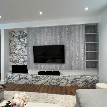 Mid-town Toronto project