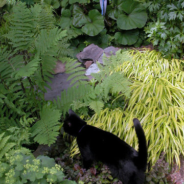 Serenity Garden