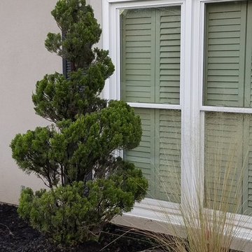 Shrub and Tree sculpting