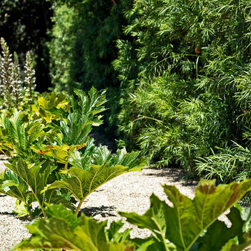 New 1-Year-Old Garden