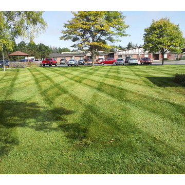 Our Work