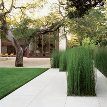 concrete patio