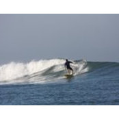 Edward Pong's photo