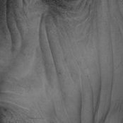 Ana Gomez's photo
