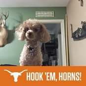 Carol Goertz's photo