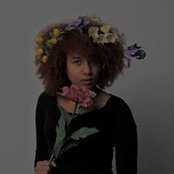 Divine Oays foto