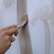 Orsola Clerici's photo