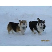 Karen Kajiwara-Nelson's photo